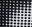 Halftone Black Print