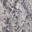 Stone Snake Print